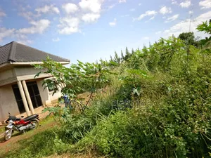 43acres of Land on Sale Located in Kyenjojo District