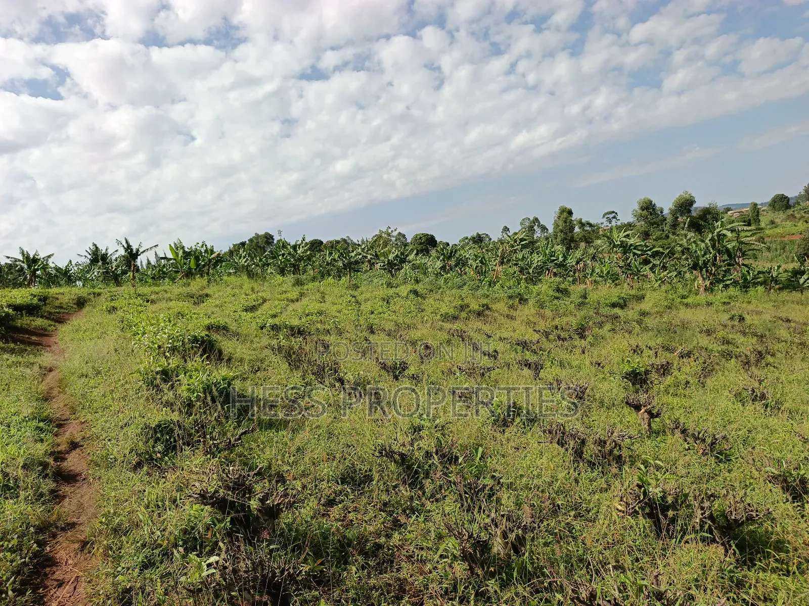 43acres of Land on Sale Located in Kyenjojo District