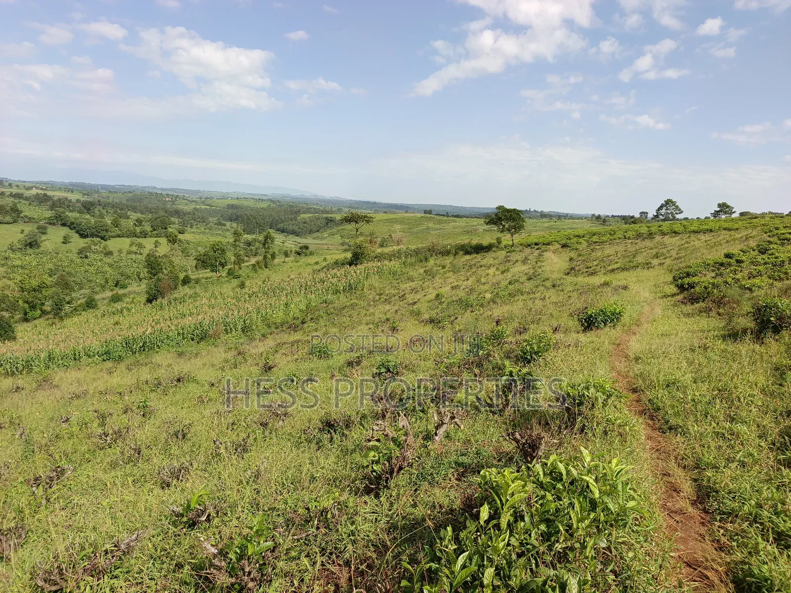 43acres of Land on Sale Located in Kyenjojo District