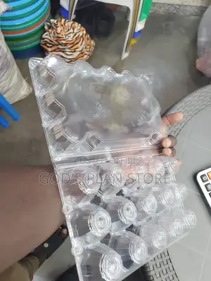 Disposable Eggs Trays Eggs Trays 12pcs