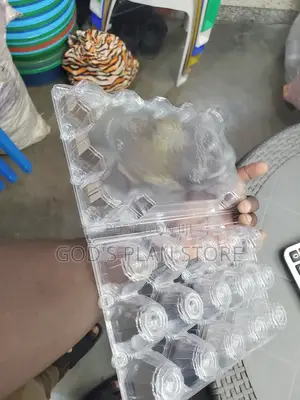 Disposable Eggs Trays Eggs Trays 12pcs