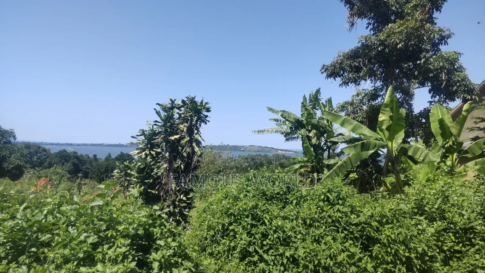 Nkumba Lake View Plot for Sale