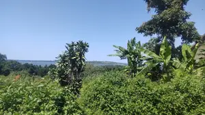 Nkumba Lake View Plot for Sale