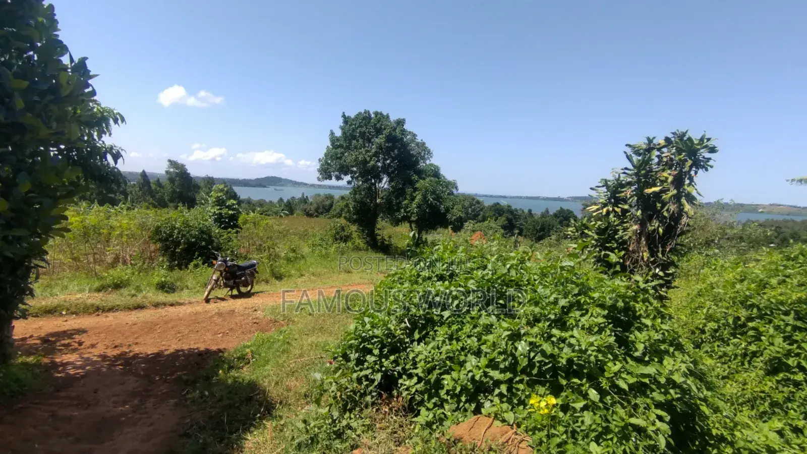 Nkumba Lake View Plot for Sale