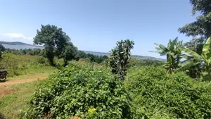 Nkumba Lake View Plot for Sale