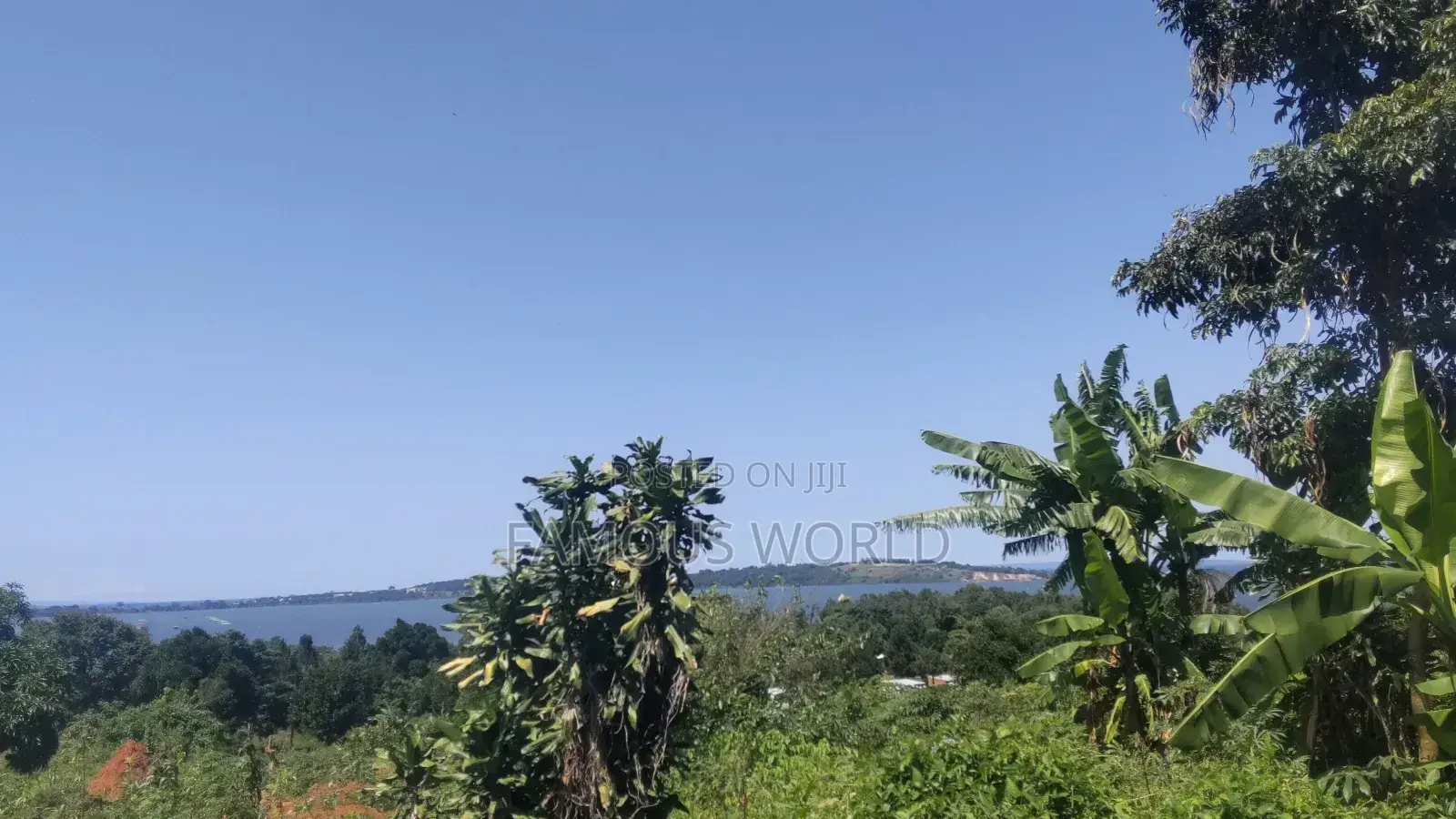 Nkumba Lake View Plot for Sale