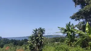 Nkumba Lake View Plot for Sale
