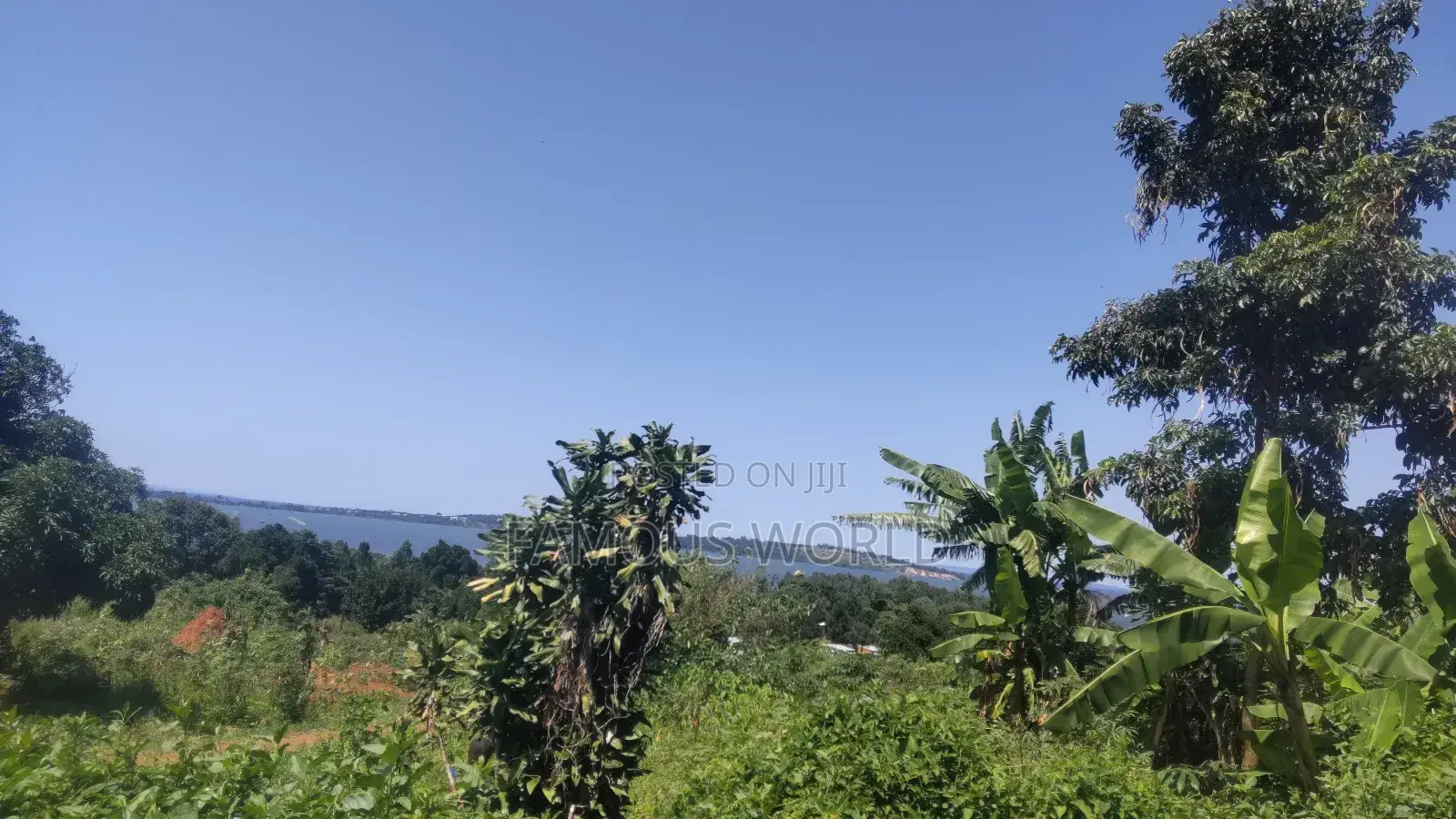 Nkumba Lake View Plot for Sale