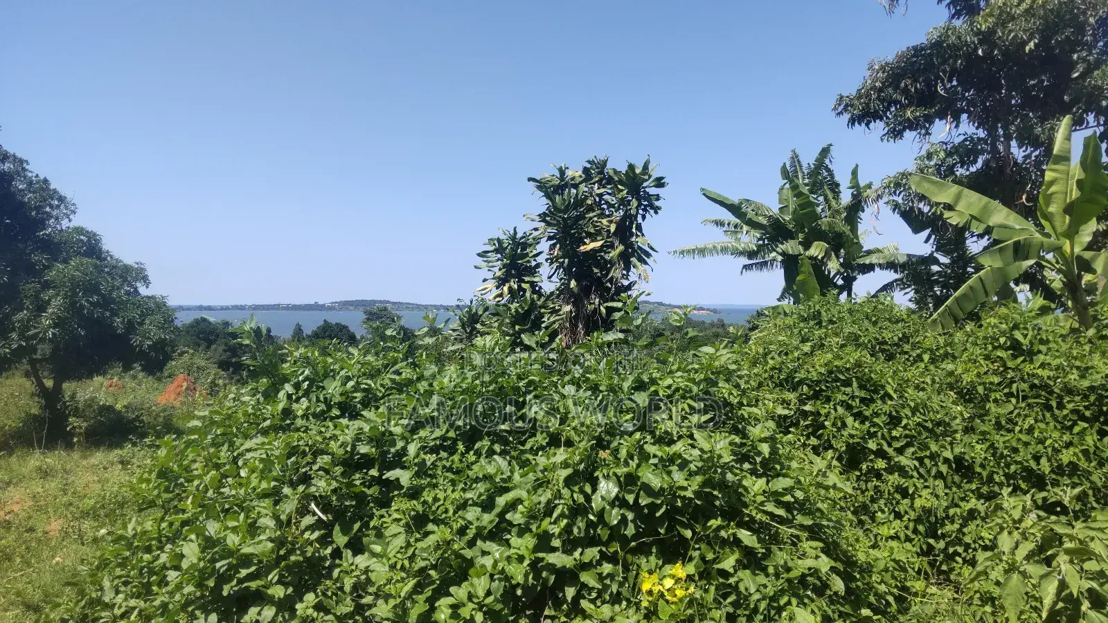 Nkumba Lake View Plot for Sale