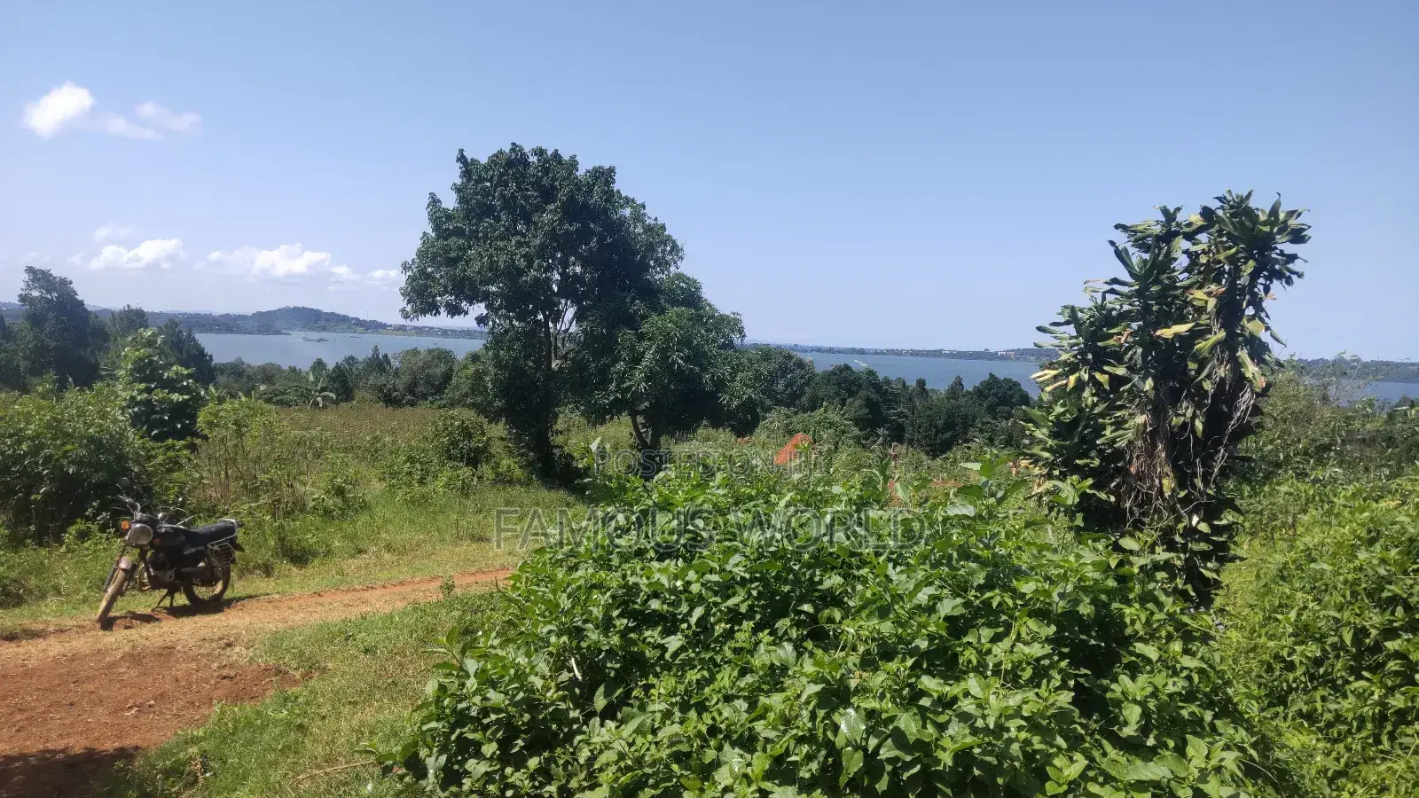 Nkumba Lake View Plot for Sale