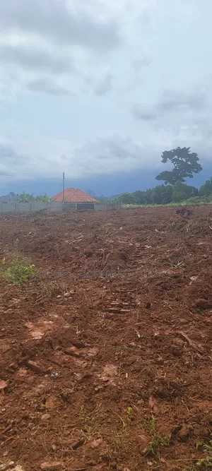 7 Plots of 100 by 50 Land in Buloba