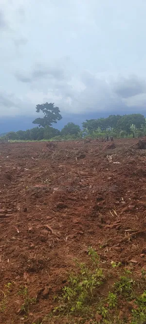 7 Plots of 100 by 50 Land in Buloba