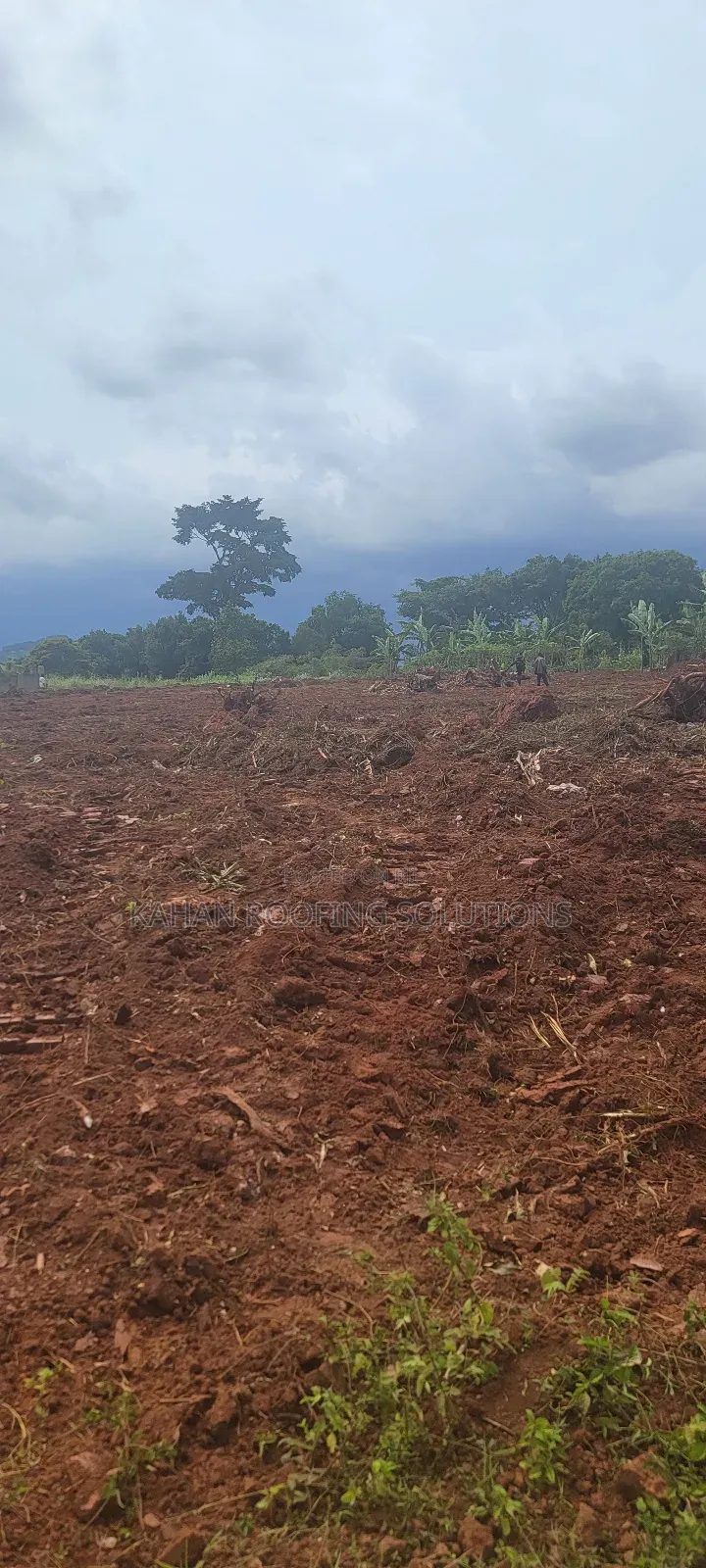7 Plots of 100 by 50 Land in Buloba