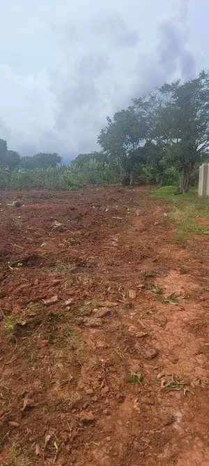 7 Plots of 100 by 50 Land in Buloba