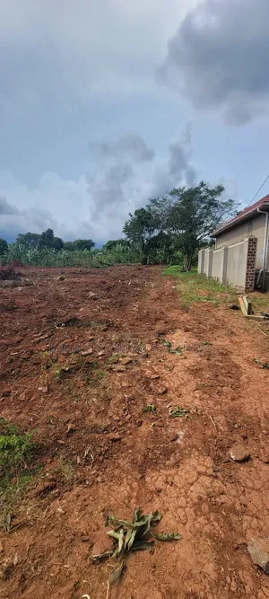 7 Plots of 100 by 50 Land in Buloba