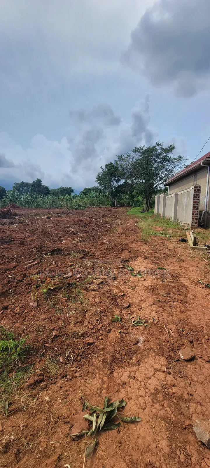 7 Plots of 100 by 50 Land in Buloba