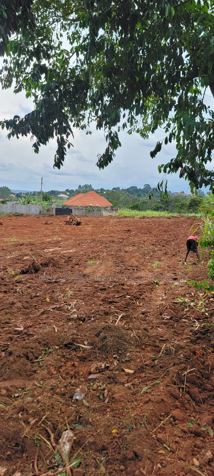 100m by 50m Land in Buloba