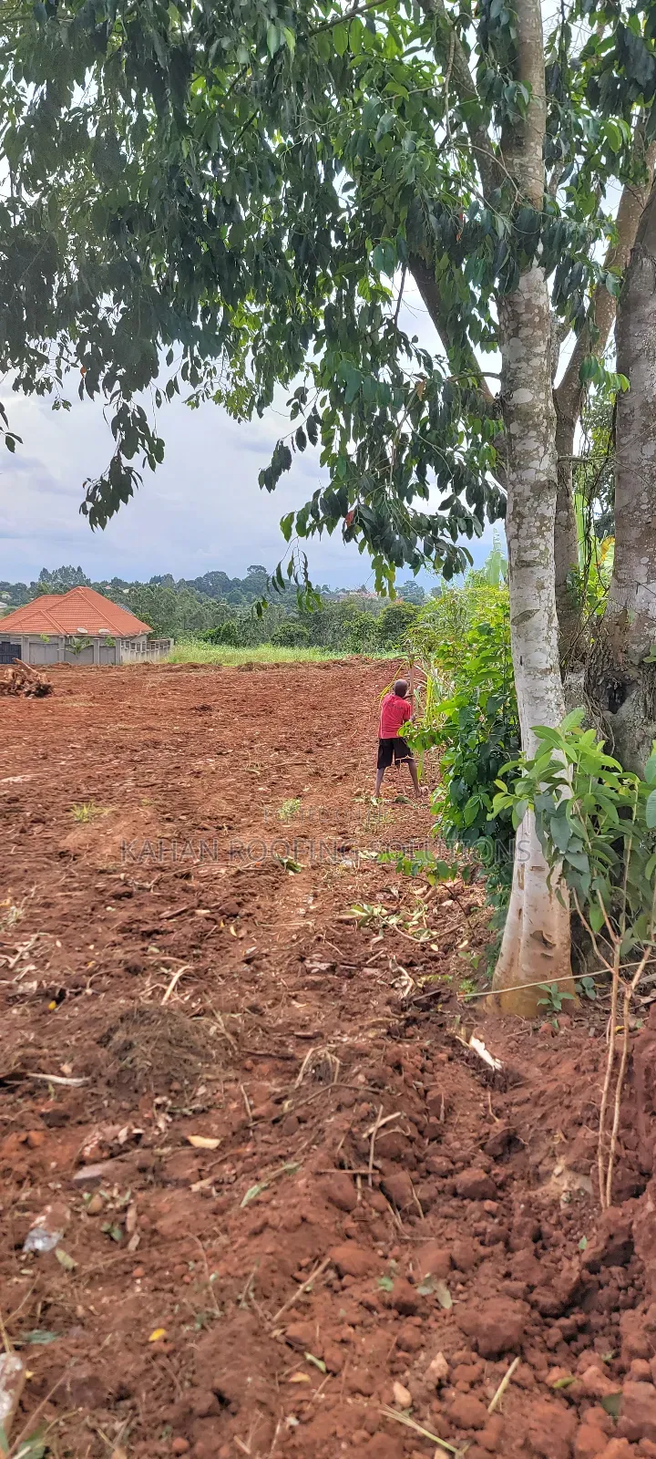 100m by 50m Land in Buloba