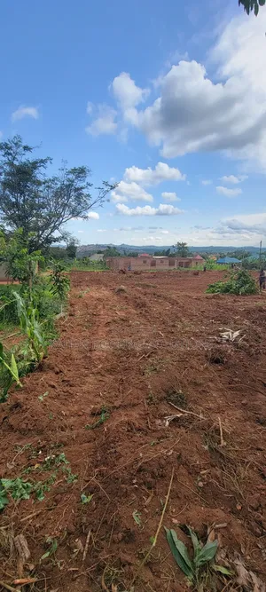 100m by 50m Land in Buloba