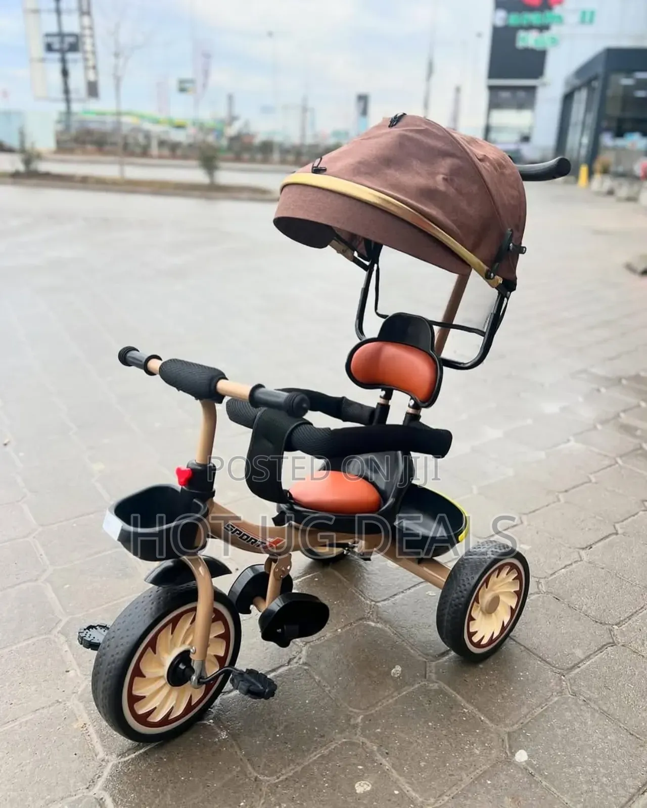 Kids Push Tricycle With Canopy( 1 To 4 Years) - Multicolor