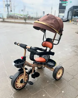 Photo - Kids Push Tricycle With Canopy( 1 To 4 Years) - Multicolor