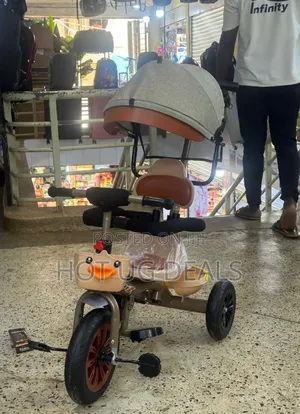 Kids Push Tricycle With Canopy( 1 To 4 Years) - Multicolor