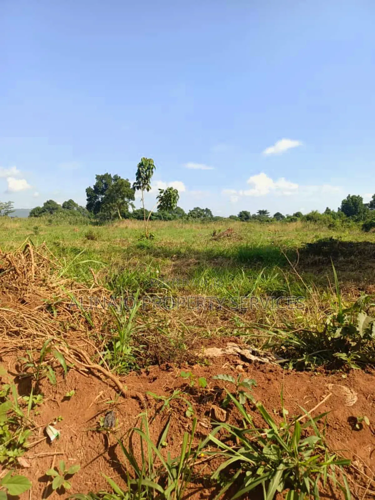 100 Fertile Acres in Kikyusa Luwero for Sale Each at 11m