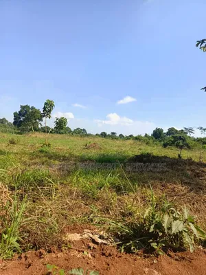 100 Fertile Acres in Kikyusa Luwero for Sale Each at 11m