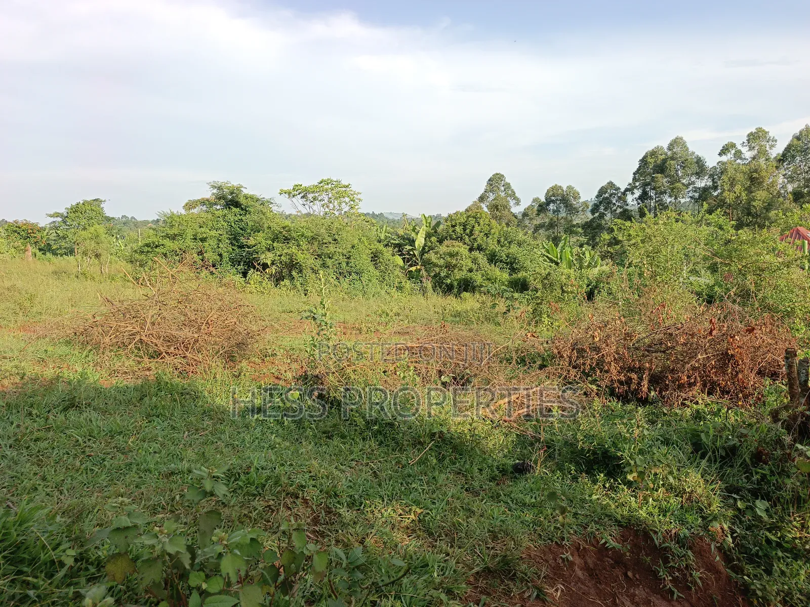 Commercial Plot on Sale