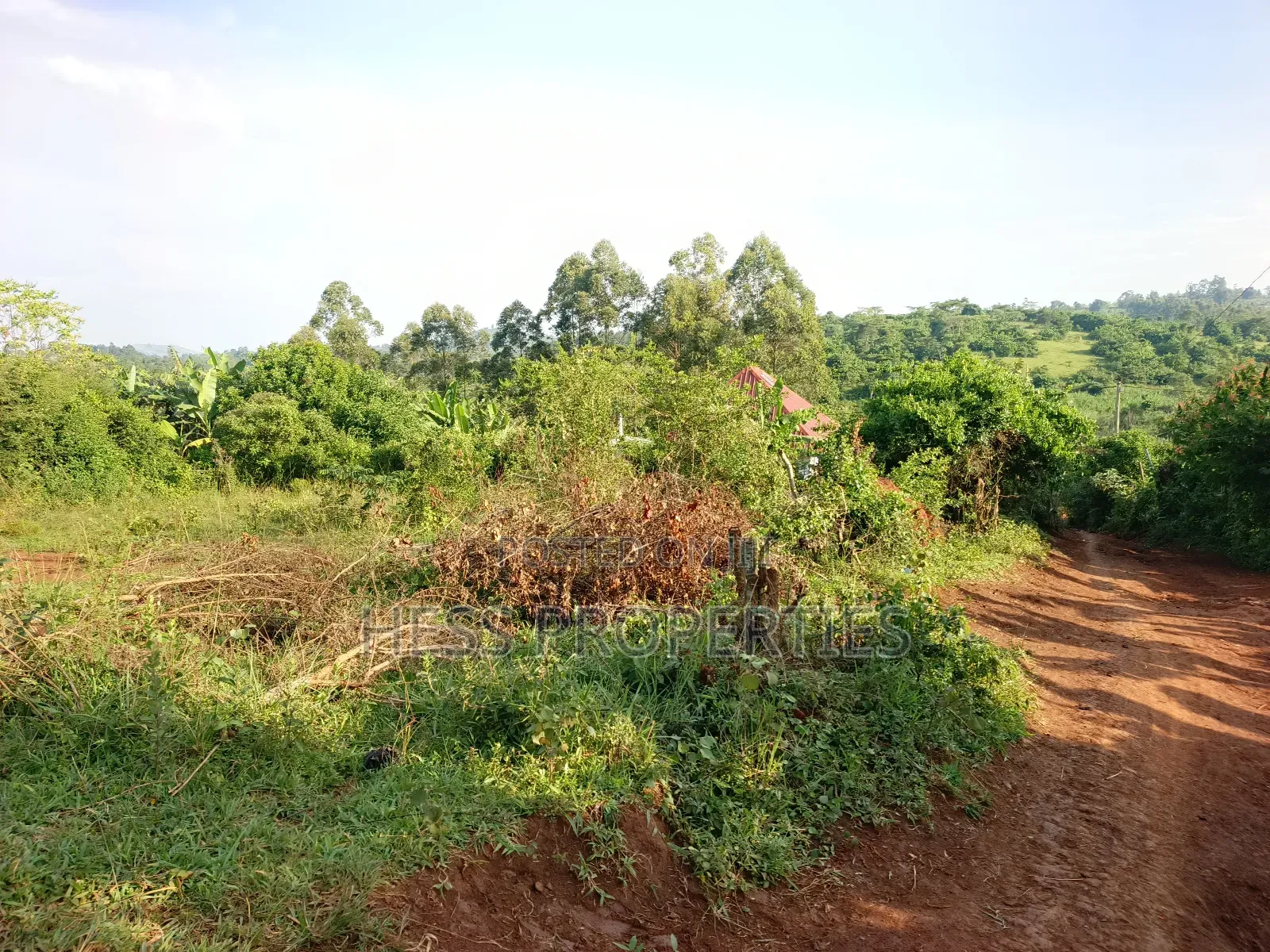 Commercial Plot on Sale