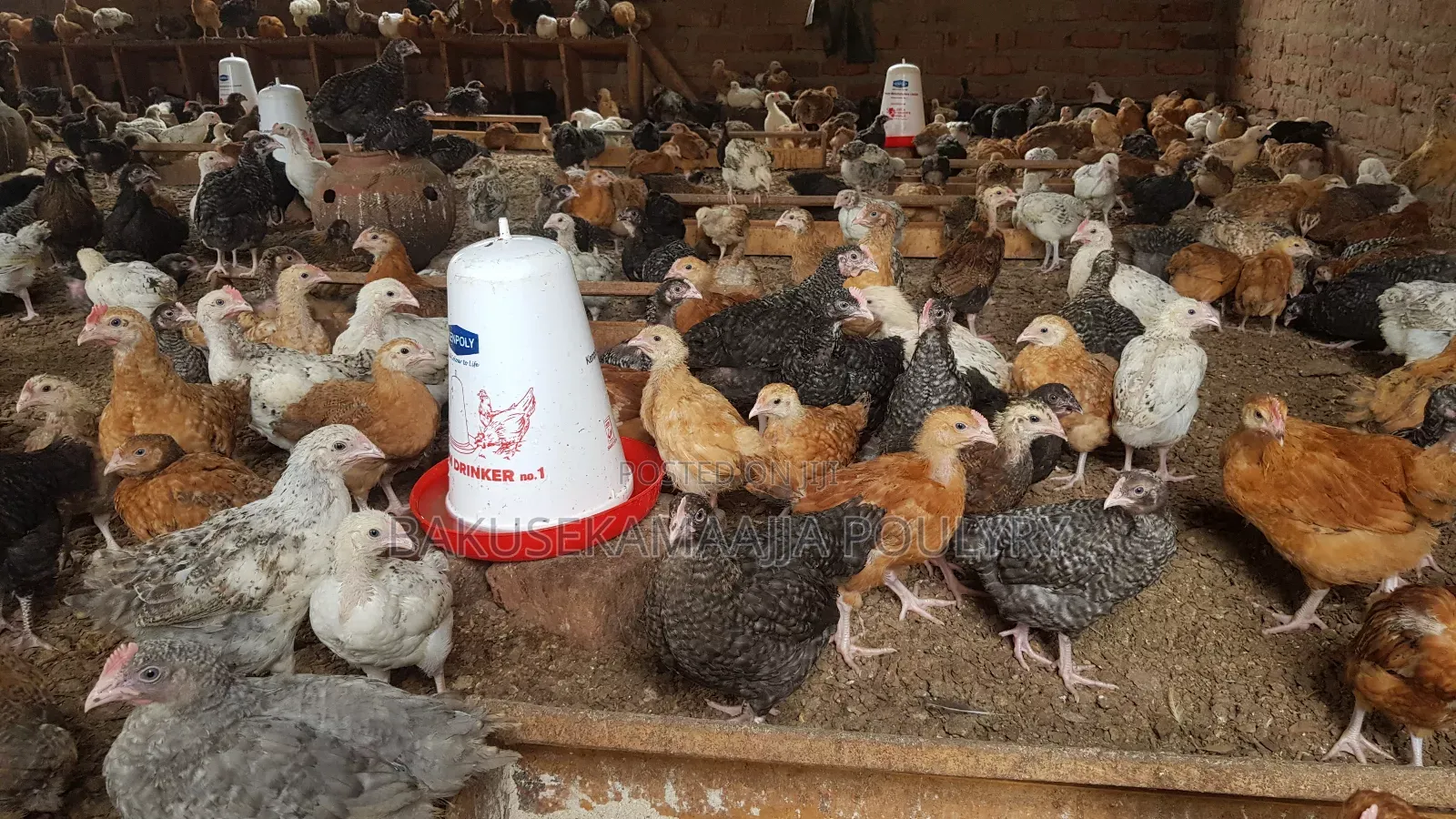 Bakusekamajja Mixed Farm