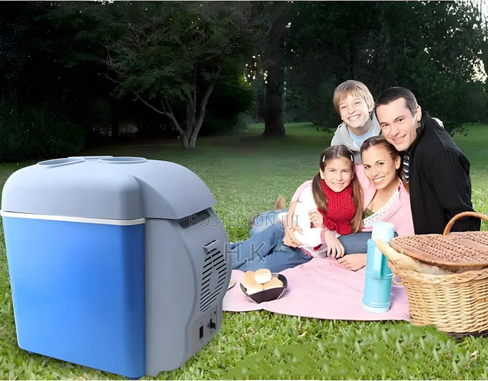 Portable Mini Car Travel Fridge Freezer