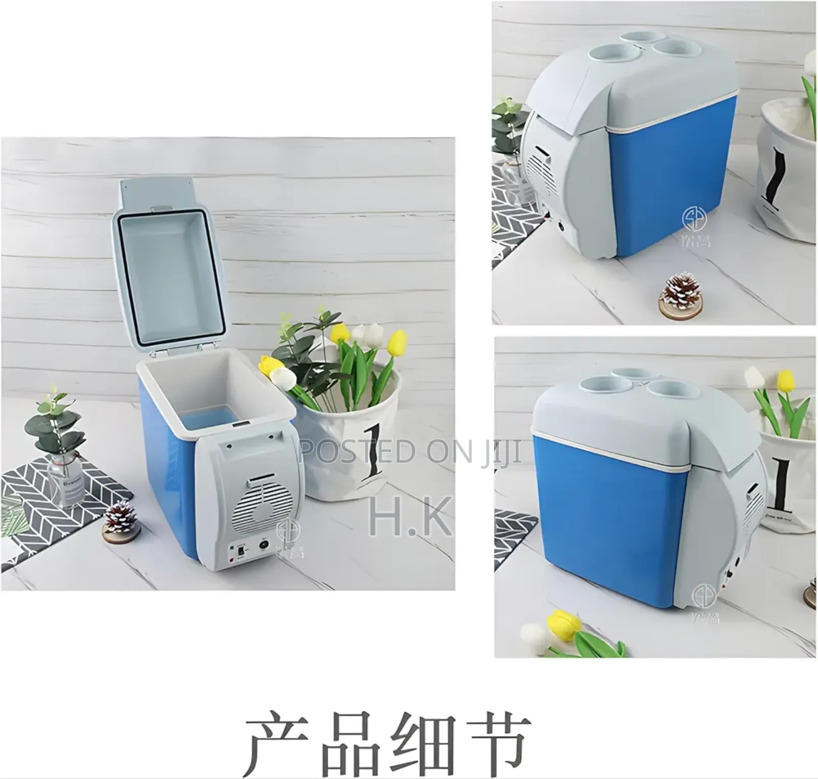 Portable Mini Car Travel Fridge Freezer