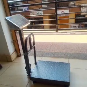 Heavy Duty Weigh Scales Platform Balance Weighing Scale