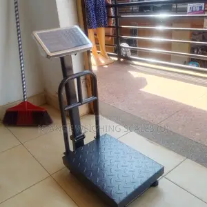 New Model Electronicdigital Platform Scales 100kg,150kg-