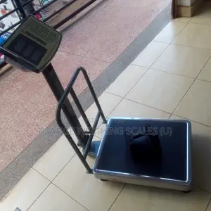 High Accuracy Weighing Scales Platform Weighing Scales 350kg