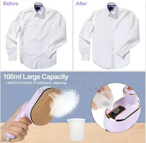 1000w Mini Steam Iron