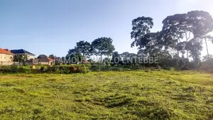 Entebbe Kabaale (B) 1 Acre on Sale ( Tarmac Road)