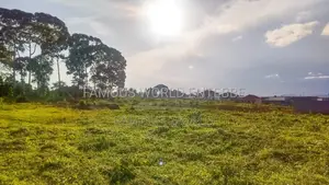 Entebbe Kabaale (B) 1 Acre on Sale ( Tarmac Road)