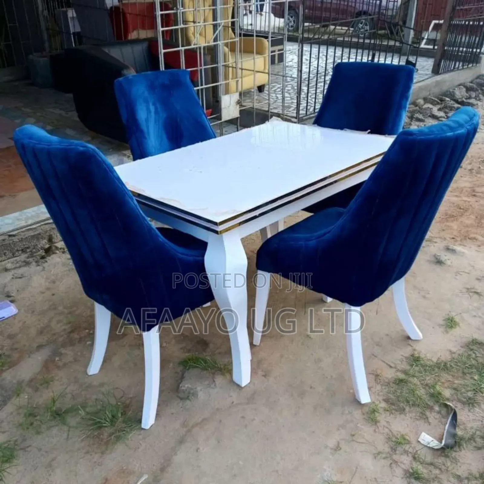 Designed Dinning Set