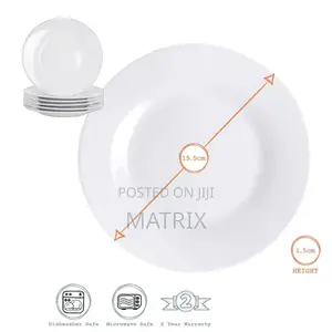 Ceramic 6 Piece of Dinner Plates