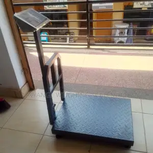 Platform Weighing Scales 350kg Big Size Weighing Scales