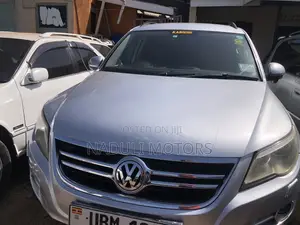 Volkswagen Tiguan 2010 Silver
