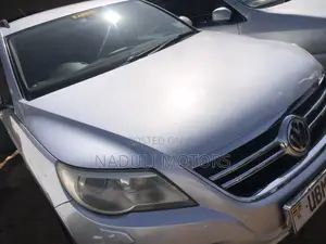Volkswagen Tiguan 2010 Silver
