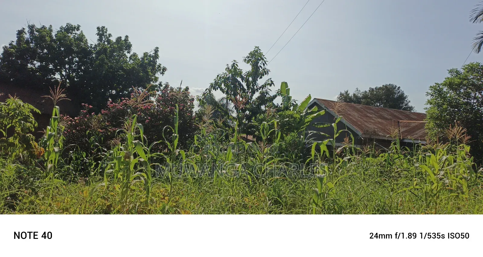 4acres for Sale in Bukoto