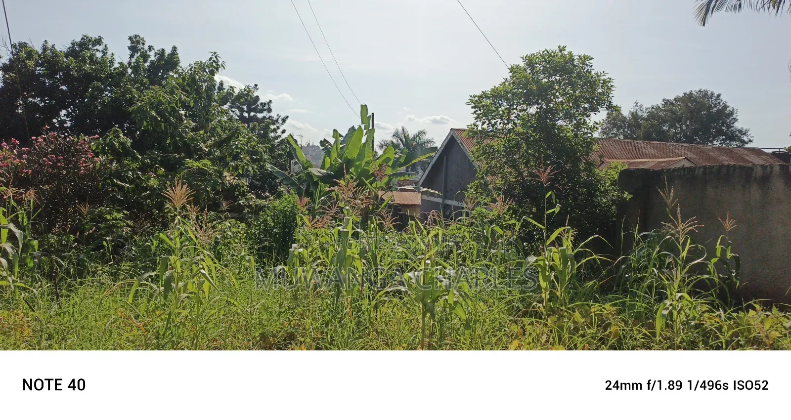 4acres for Sale in Bukoto