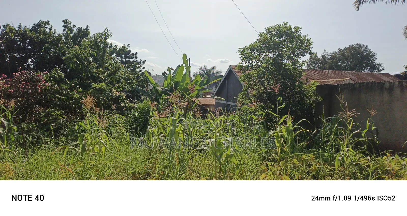 4acres for Sale in Bukoto