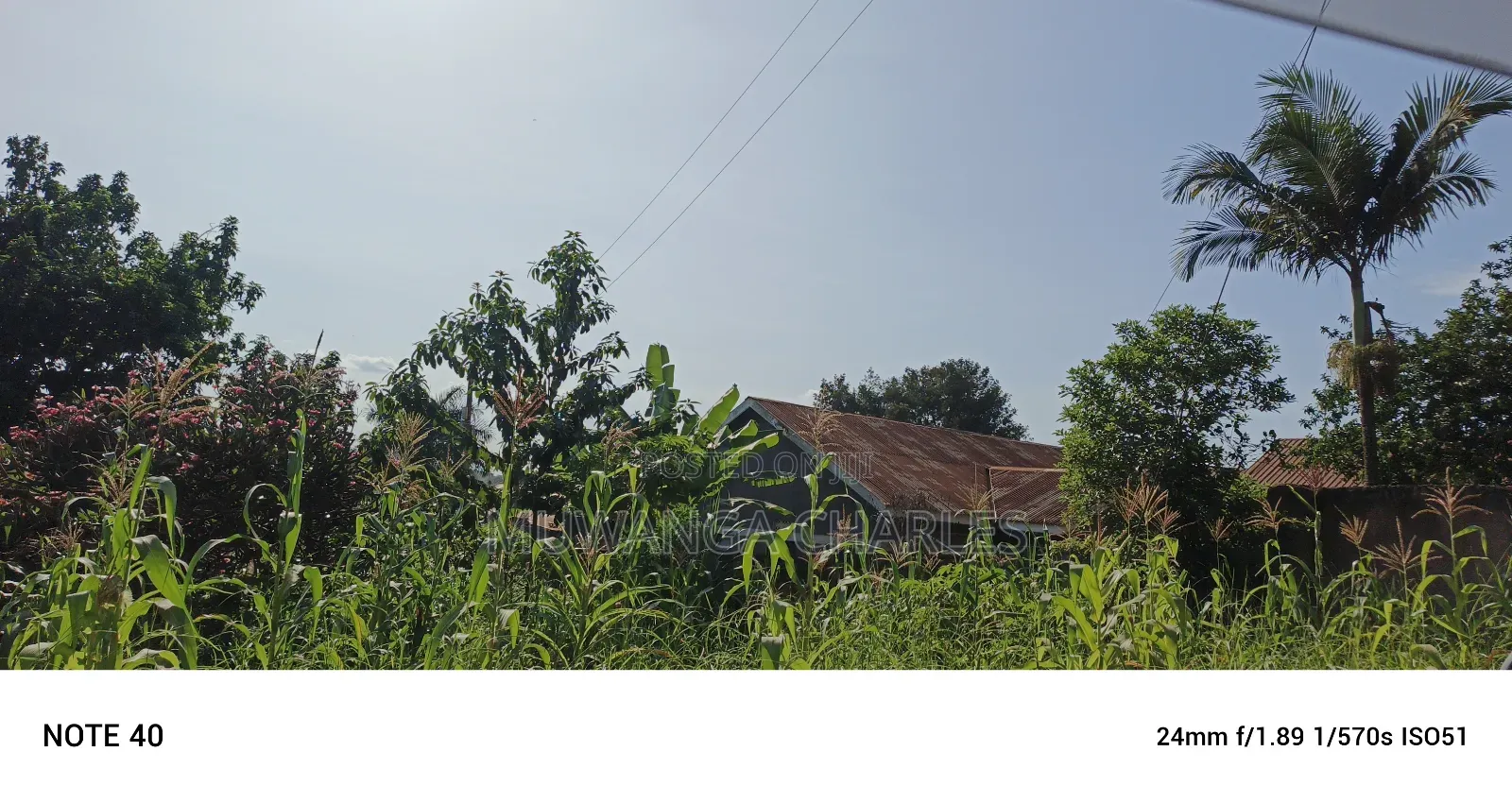 4acres for Sale in Bukoto