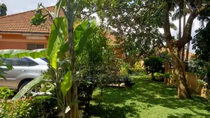 4bdrm Bungalow in Bukoto Near Oryx, Central Division for rent