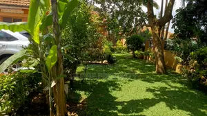 4bdrm Bungalow in Bukoto Near Oryx, Central Division for rent